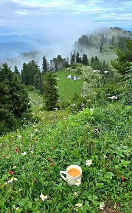 Nathia Gali Hazara