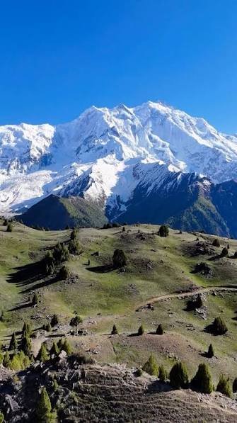Rakaposhi Viewpoint Ghulmet