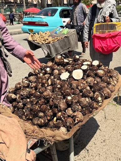 Hazara Town and Local Markets Quetta