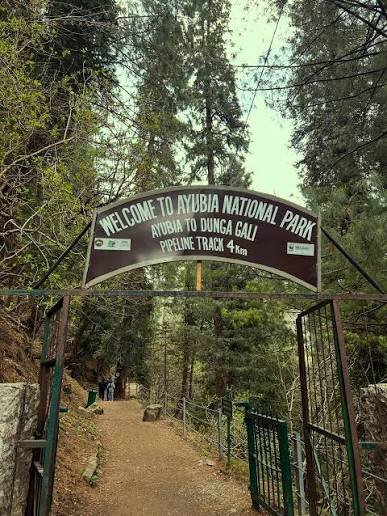 Dunga Gali Galyat Abbottabad