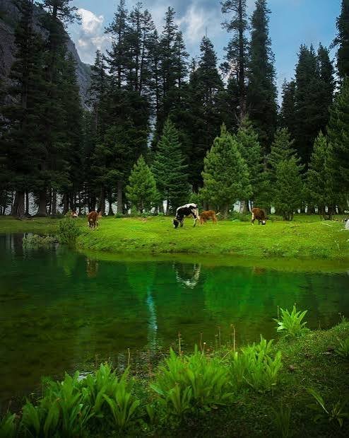 Saifullah Lake Kalam Swat