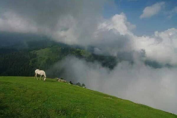 Lasdana Bagh