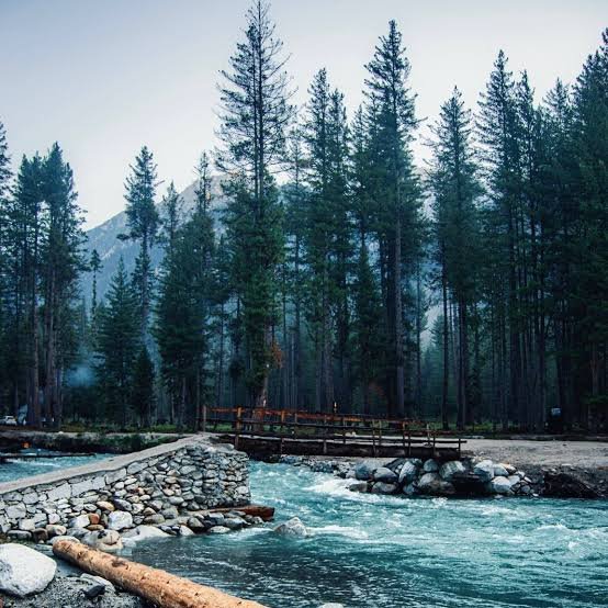 Kumrat Valley Forest Upper Dir