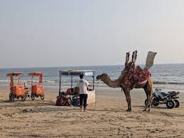 Hawkes Bay and Turtle Beach Karachi