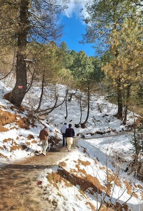 Mukshpuri Peak Galyat Abbottabad