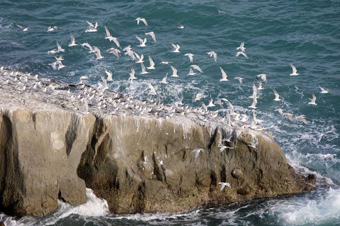 Astola Island Haft Talar Island of Seven Hills Pasni Balochistan
