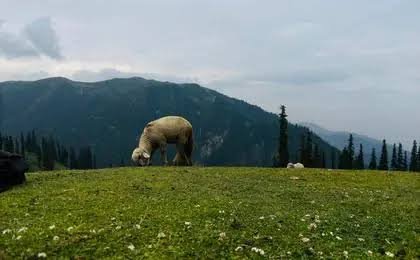 Shogran Kaghan Valley