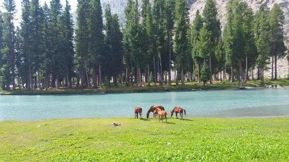 Saifullah Lake Kalam Swat