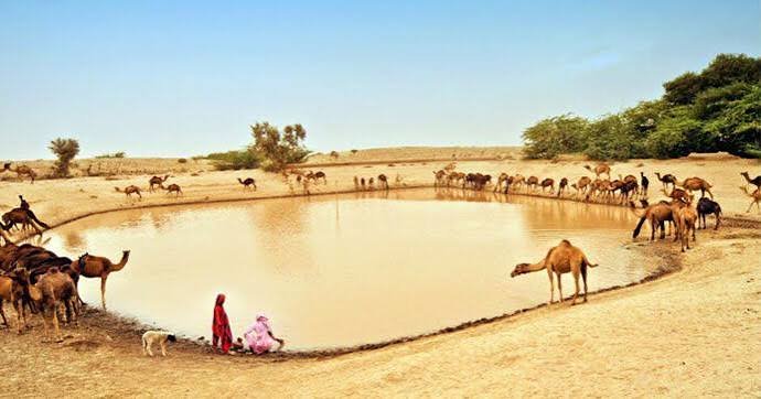 Cholistan Desert Rohi Bahawalpur
