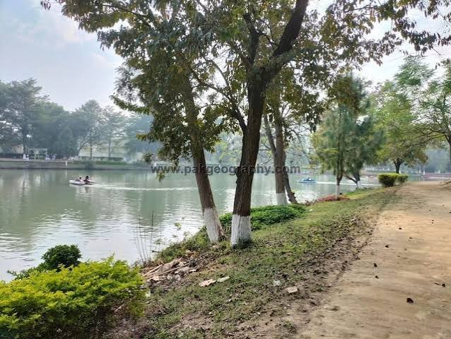 Changa Manga Forest Kasur