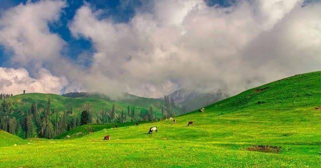 Siri Paye Meadows Kaghan Valley