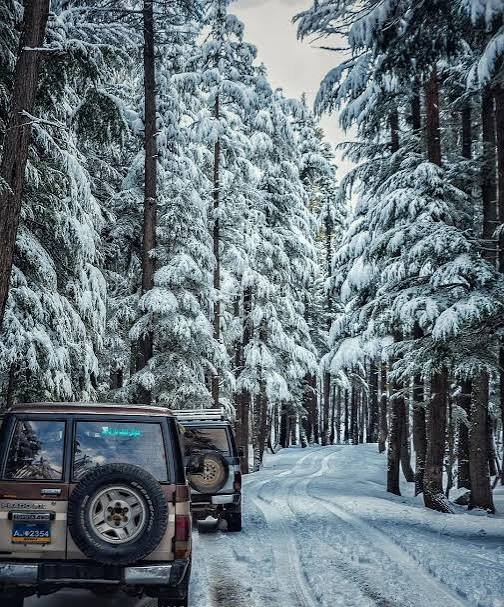 Ushu Forest Kalam Swat