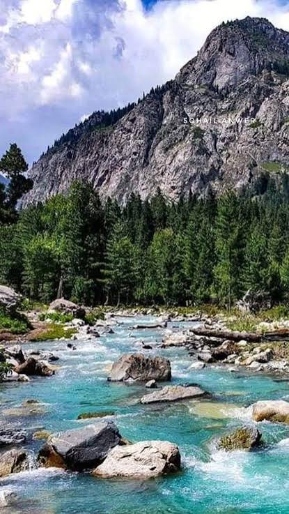 Kumrat Valley Forest Upper Dir