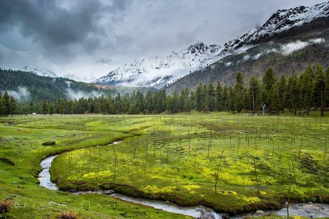 Deosai Plains Entrance Astore