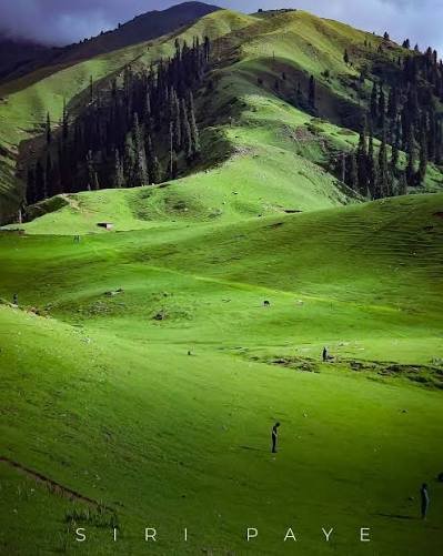 Siri Paye Meadows Kaghan Valley