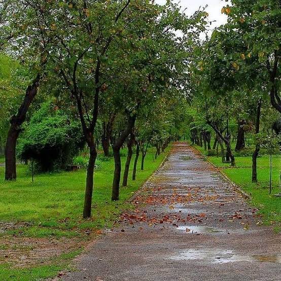 Kachnar Park Sector I-8 Islamabad