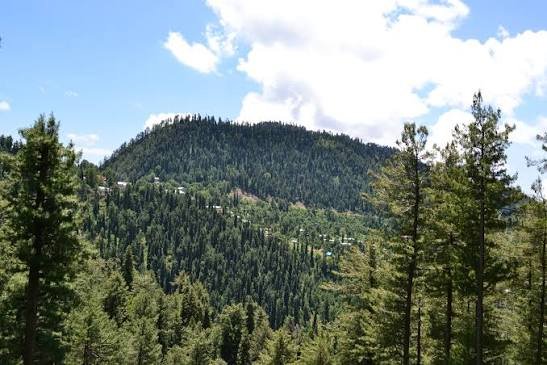 Dunga Gali Galyat Abbottabad