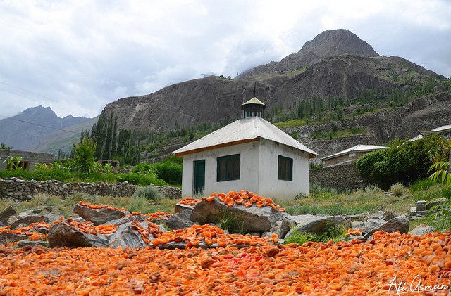 Minapin Village and Diran Peak Base Camp