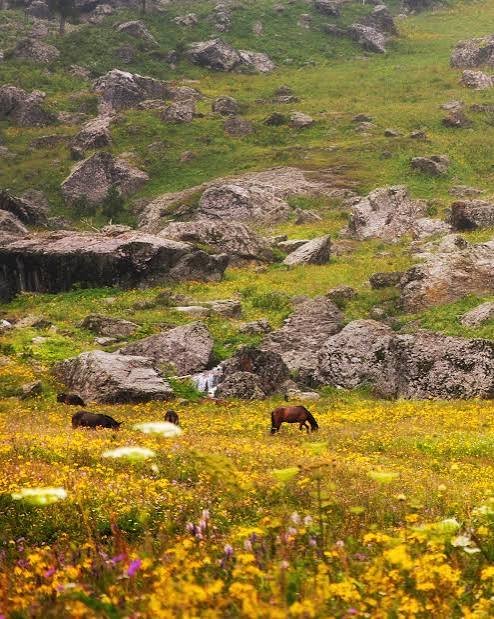 Domel Valley