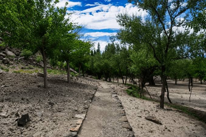 Organic Village Skardu