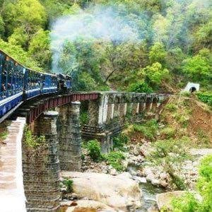 Changa Manga Forest Kasur