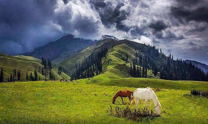 Thandiani Hill Station Abbottabad