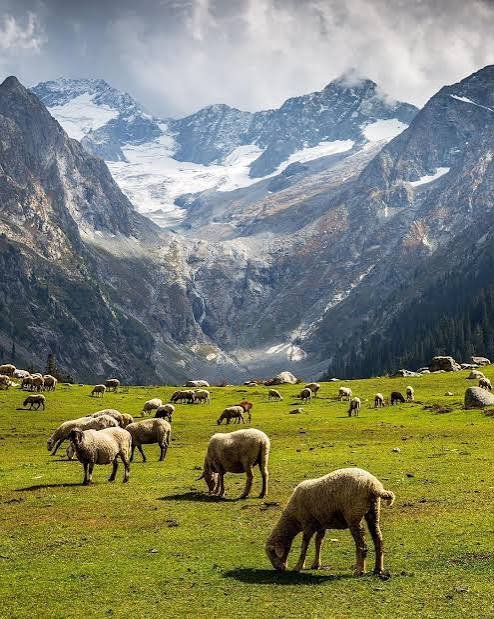 Jahaz Banda Meadows Upper Dir