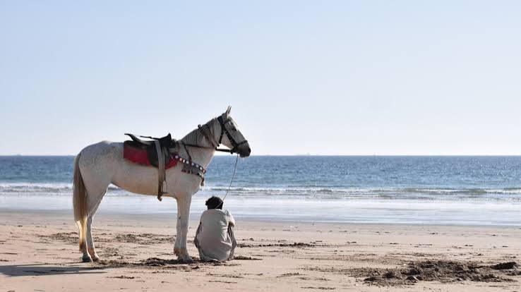 Hawkes Bay and Turtle Beach Karachi