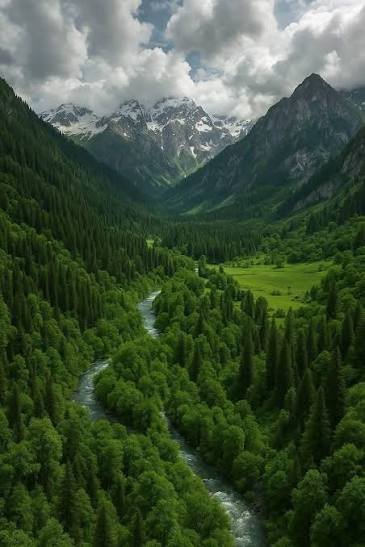 Kumrat Valley Forest Upper Dir