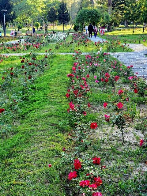 Rose and Jasmine Garden Islamabad
