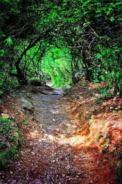 Margalla Hills Hiking Trails Trail 3 Trail 5 Trail 2 Islamabad