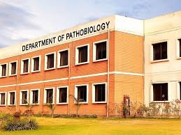 Bahauddin Zakariya University Multan BZU