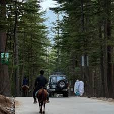 Ushu Forest Kalam Swat