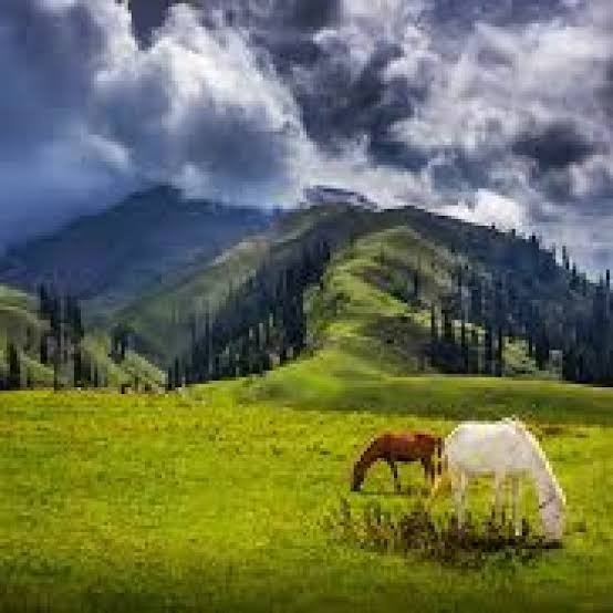 Siri Paye Meadows Kaghan Valley