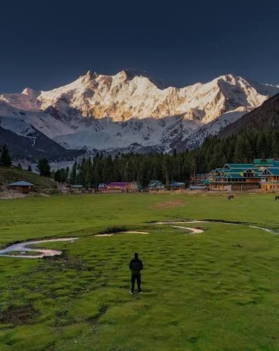 Fairy Meadows