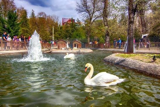 Ankara Park Islamabad