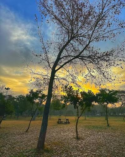 Kachnar Park Sector I-8 Islamabad