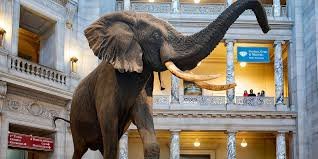 Pakistan Museum of Natural History Islamabad