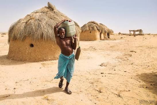 Cholistan Desert Rohi Bahawalpur