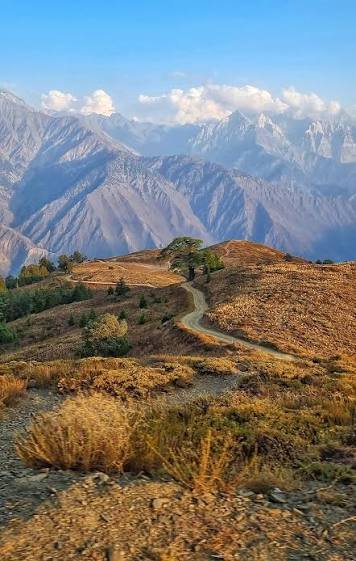 Chitral Gol National Park Lower Chitral