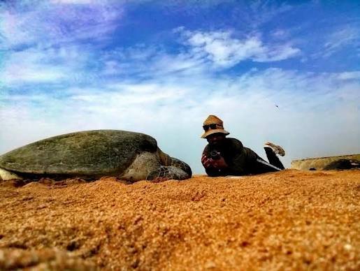 Hawkes Bay and Turtle Beach Karachi