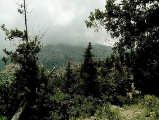 Ziarat Valley and Ancient Juniper Forest Balochistan