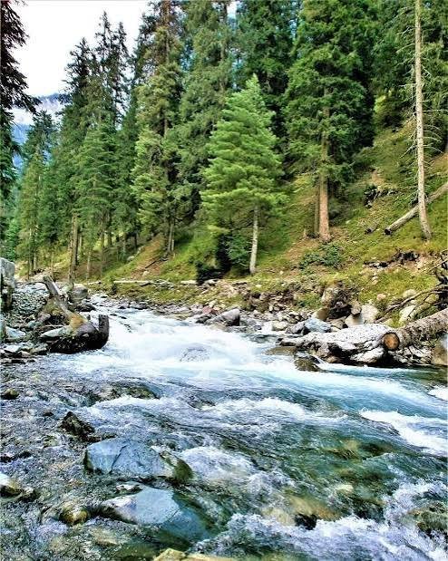 Ushu Forest Kalam Swat