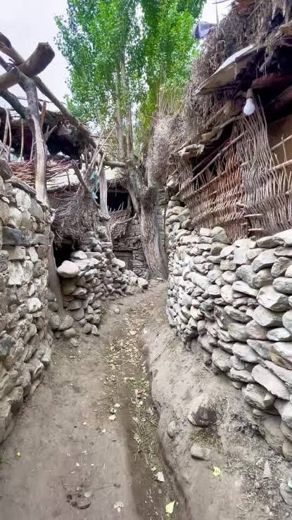 Organic Village Skardu
