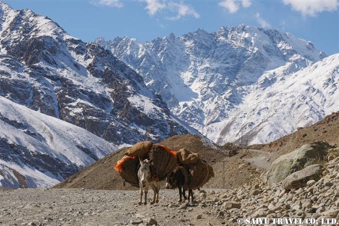 Shandur Pass Upper Chitral