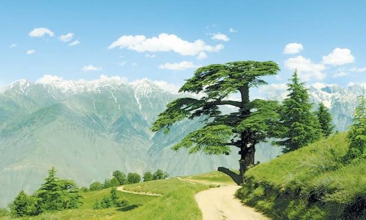 Chitral Gol National Park Lower Chitral