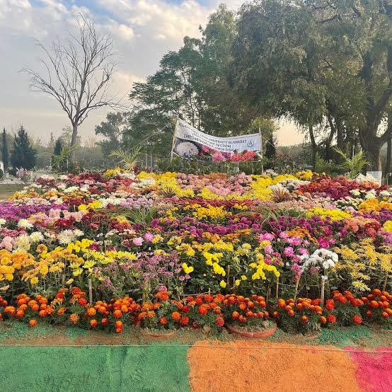 Rose and Jasmine Garden Islamabad