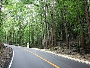 Changa Manga Forest Kasur