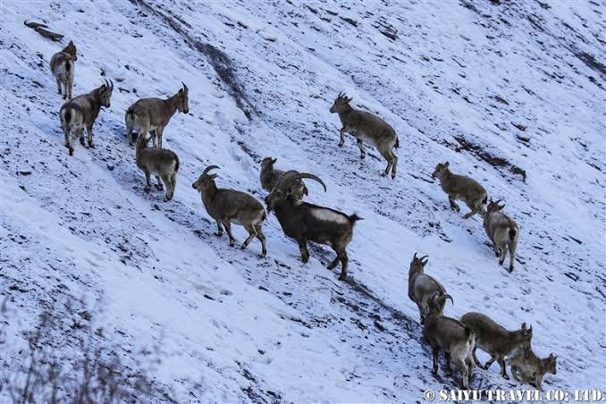 Khunjerab Pass and National Park
