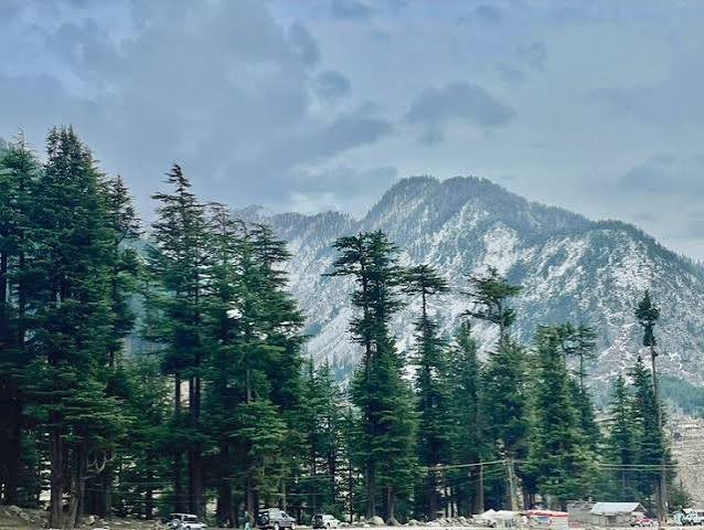 Ushu Forest Kalam Swat